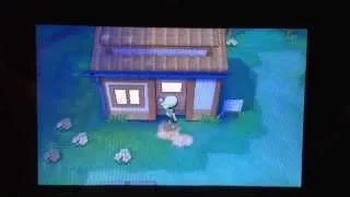 Pokemon ORAS - How to get Cyndaquil/Totodile/Chikorita!