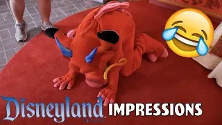 I BROKE MUSHU! - Disneyland Impressions