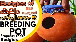 ഇനി അറിയില്ലാന്ന് പറയരുത്😀Breeding Pot Preperation || R&B Media