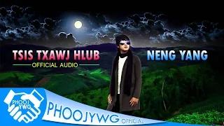 NENG YANG - Tsis Txawj Hlub【Official Audio】