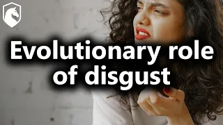 Why do we feel disgust? (from Livestream #74)