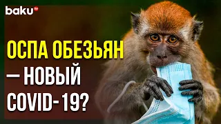 Врач-инфекционист Рассказала об Оспе Обезьян | Baku TV | RU