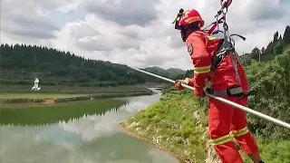Sweet moments of Chinese firefighters rescuing bird tangled mid-air