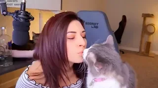 Livestreamerin (Alinity) gibt Katze Vodka! Wenn Livestreamer zu weit gehen...