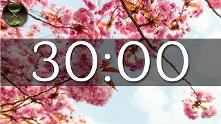 30 minute timer Spring blossom