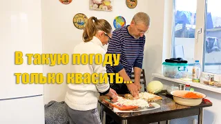 #57 Квашеная капуста по двум рецептам. Скоро будем переселять овец.