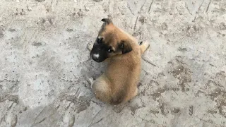 She Crawled And Look Every Single One On Deserted Highway Begging If They Can Taker Her Home!