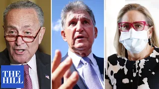 Schumer feels heat to get Manchin and Sinema on board