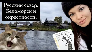 Едем с кошкой в Беломорск! Белое море, Беломорские петроглифы, Колежма и красота северной природы!