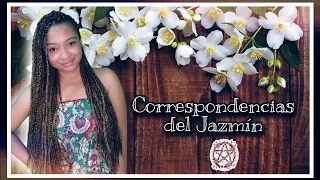 Correspondencias del JAZMÍN  -Hierbas mágicas