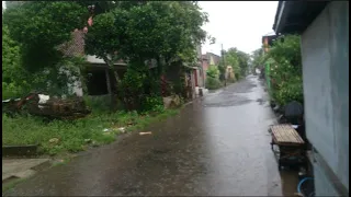 Rain soaks my comfortable and peaceful village || Walking Around in the Rain