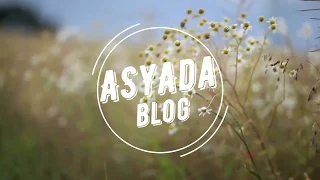 AsyAda VLOG. СТЕРЕОТИПЫ. PART 1.15 стереотипов о национальностях.