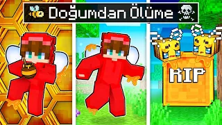 DOĞUMDAN ÖLÜME BEBEK ARI - Minecraft