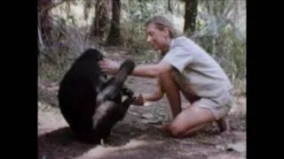 Jane Goodall's Journey