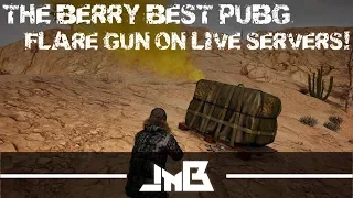 THE BERRY BEST PUBG: FLARE GUN ON LIVE SERVERS