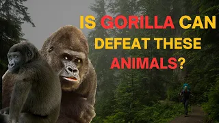 6 amazing Animals That Could Defeat a Gorilla #shorts