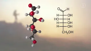 FWU - Biomoleküle - Trailer