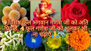 श्री गणेश जी का प्रिय फूल , गणेश जी को कौन सा फूल ना चढ़ाएं || Lord Ganesha Favourite Offered Flower