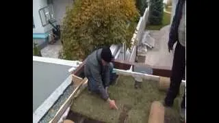 Укладка рулонного газона на крыше 3