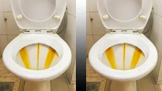 Put Vinegar Into a Toilet, and Watch What Happens! Clean A Toilet With Vinegar! Remove Hard Water St