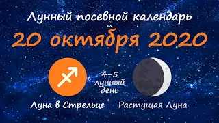 [20 октября 2020] Лунный посевной календарь огородника-садовода | Флористикс Инфо