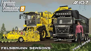 Sugar beet harvest | Animals on Felsbrunn Seasons | Farming Simulator 19 | Episode 107