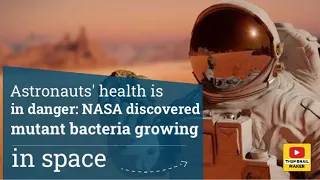 Astronauts' health is in danger: NASA discovered mutant bacteria growing in space