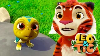 Leo and Tig 🦁 A Foundling 🐯 Funny Family Good Animated Cartoon for Kids