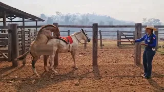 COMO ESTÁ MEU GARANHÃO DEPOIS DE 1 ANO E 4 MESES 😱