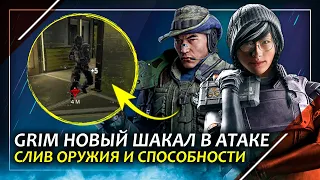 Гаджет и оружие Grim | Реворки персонажей | Rainbow Six Siege