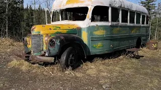 Into the wild (magic bus 142) Alaska