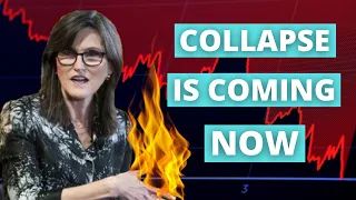 Cathie Wood: This ENTIRE Sector Is About To COLLAPSE! (And Drag The Market Down With It...)