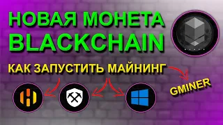 ❗️НОВАЯ МОНЕТА❗️ МАЙНИНГ BLACKCHAIN BLACK В HIVEOS, RAVEOS И WINDOWS