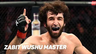 ZABIT MAGOMEDSHARIPOV ▶ WUSHU MASTER IN UFC ◀ HIGHLIGHTS 2020