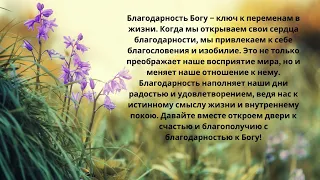 Узнай, как благодарность Богу преобразит твою жизнь навсегда." 🙏✨Поднимитесь над недовольством!