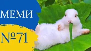 Прикольні приколи №71 | Найкращі відео з тік ток