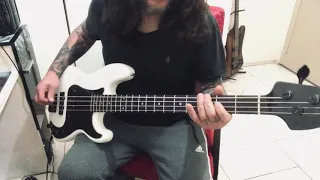 Guns N Roses - You could be mine  (bass cover)