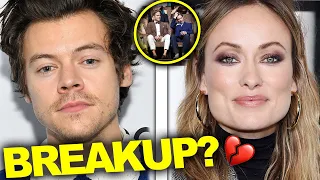 Harry Styles & Olivia Wildes’ Relationship is “On Edge” | Hollywire