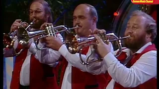 Rolf Schneebiegl und seine Original Schwarzwaldmusikanten - Schwarzwaldmusikanten Marsch 1984