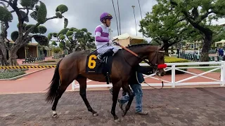 I Don’t Get It breaks his Maiden at Santa Anita Park