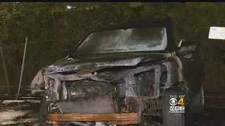 3 Dogs Rescued From Burning Car In Dedham