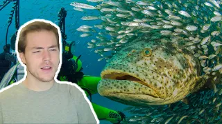 Fish Biologist reacts to "Swallowed by Goliath Fish"