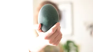 Stay Wild: How To Cook An Ostrich Egg