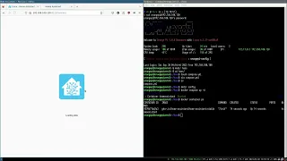 Home Assistant on Orange Pi Zero 3