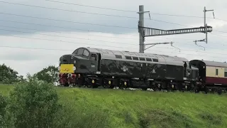 40013 (D213) ‘Andania’ - The Welsh Marches Whistler - 1Z72 @ Westerleigh, Bristol 03-06-21