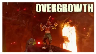 Overgrowth - Адские разборки