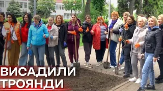 У центрі Сум висадили троянди у рамках всеукраїнської акції