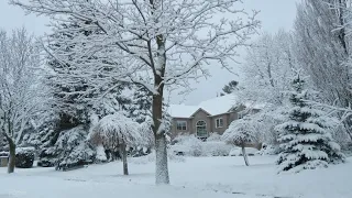 WINTER Walk after Overnight Snowfall in Beautiful Toronto Suburb