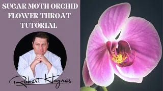 How To Make A Sugar Moth Orchid Throat Tutorial with Robert Haynes