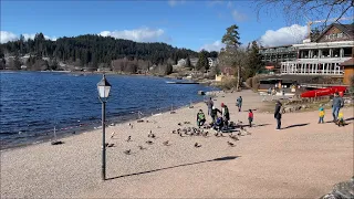 🇩🇪 Титисее. Южный Шварцвальд. Titisee. Südschwarzwald.